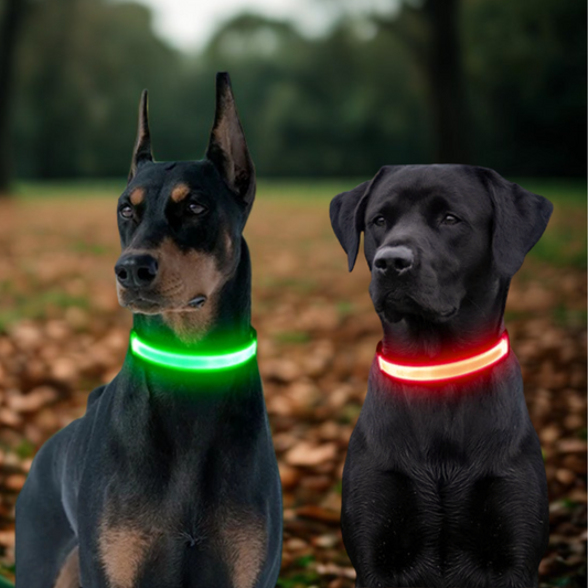 Set of 2 Night Visibility USB-Charged Collar for Pets