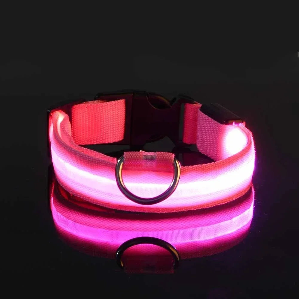Set of 2 Night Visibility USB-Charged Collar for Pets