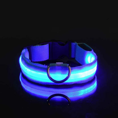Set of 2 Night Visibility USB-Charged Collar for Pets