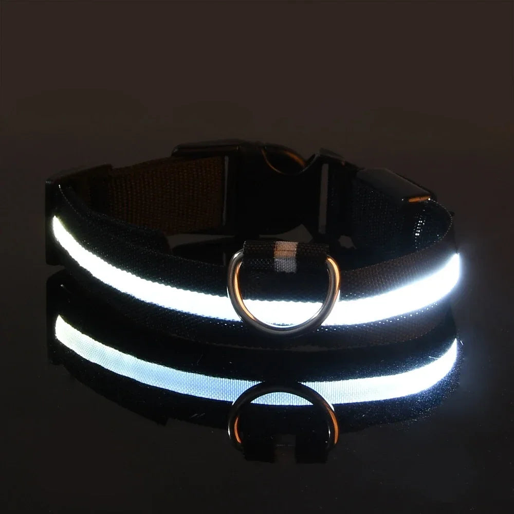 Set of 2 Night Visibility USB-Charged Collar for Pets