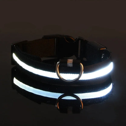Set of 2 Night Visibility USB-Charged Collar for Pets