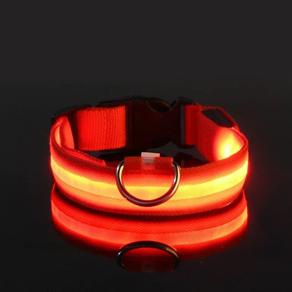 Set of 2 Night Visibility USB-Charged Collar for Pets