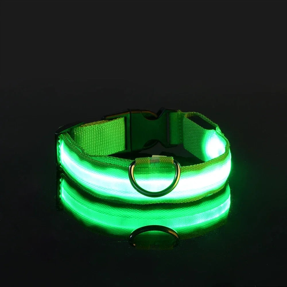 Set of 2 Night Visibility USB-Charged Collar for Pets