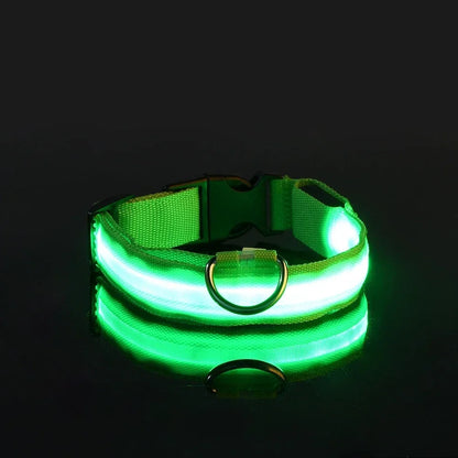 Set of 2 Night Visibility USB-Charged Collar for Pets